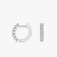 Subtle Elegance Earrings