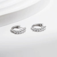 Subtle Elegance Earrings